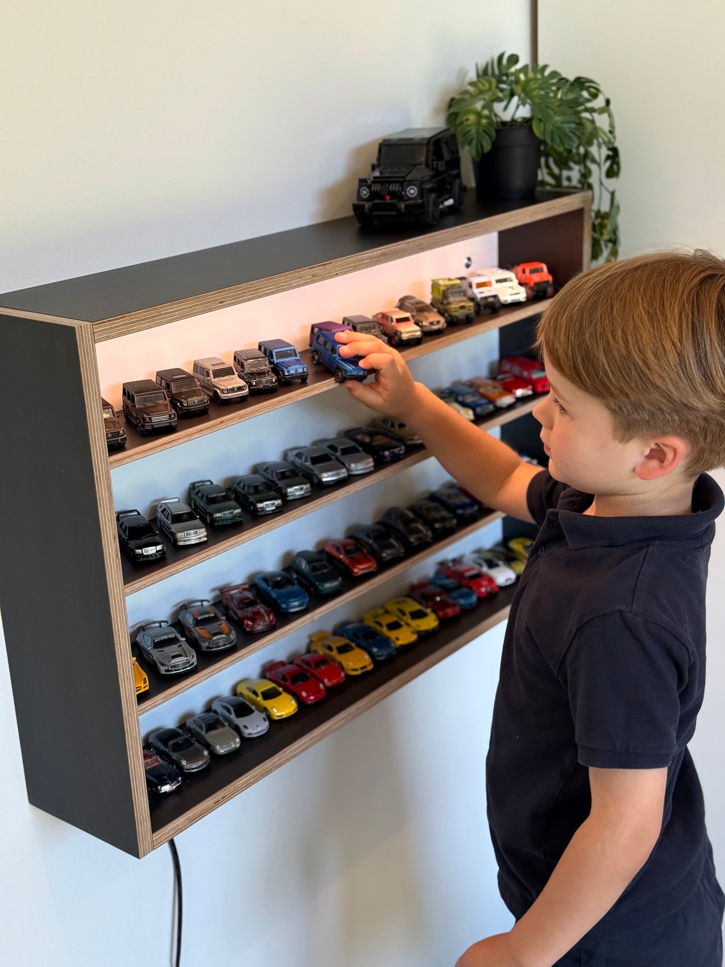 COLLECTOR SHELF• Black