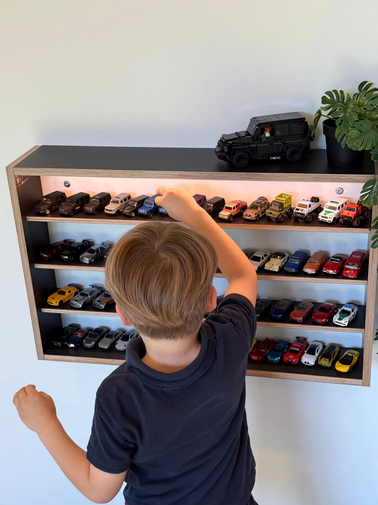 COLLECTOR SHELF• Black