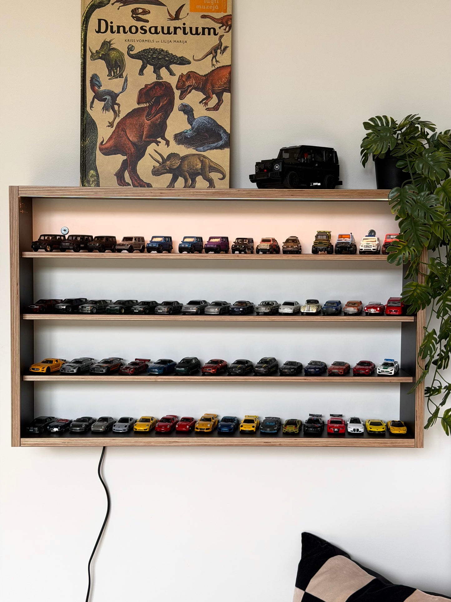 COLLECTOR SHELF• Black
