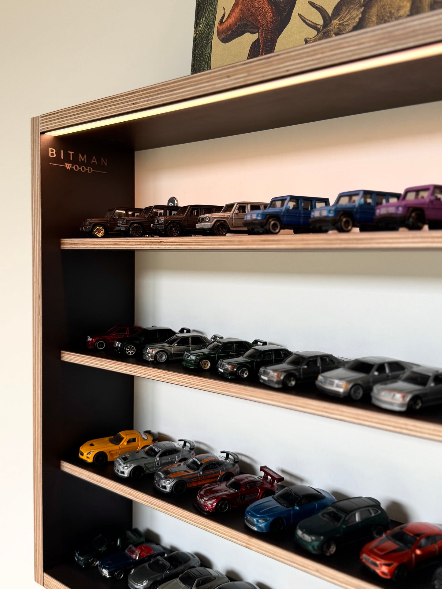 COLLECTOR SHELF• Black