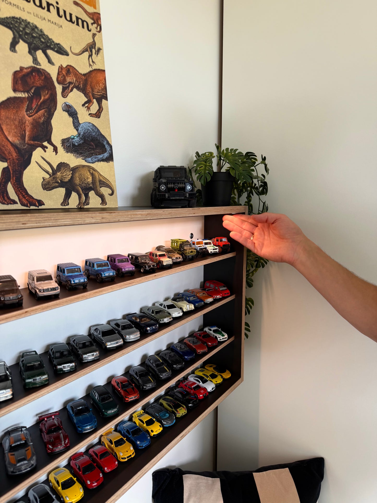 COLLECTOR SHELF• Black