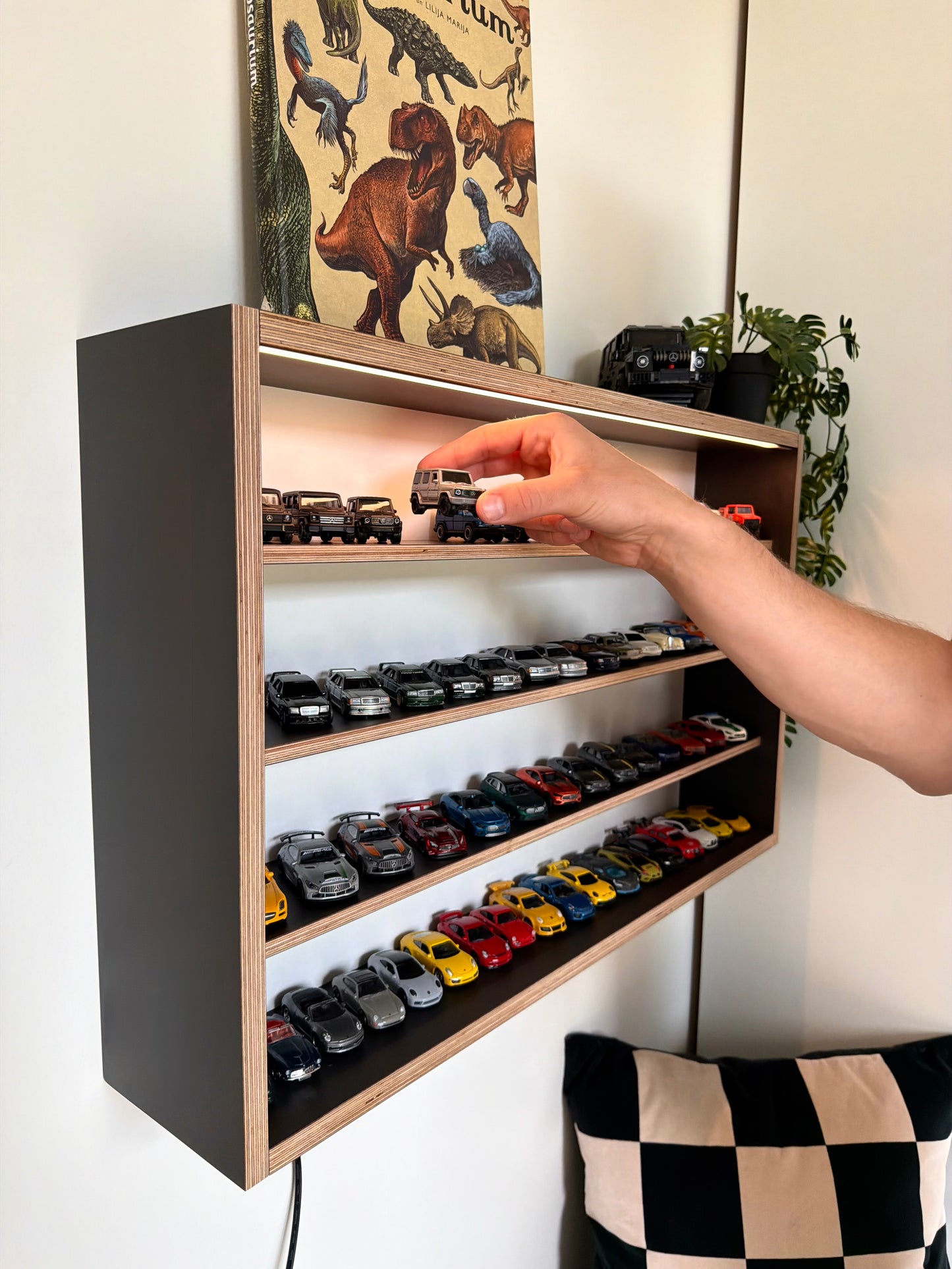 COLLECTOR SHELF• Black